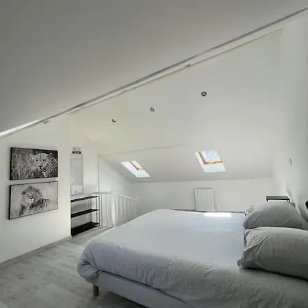 L'amienoise Proche Zenith Stade Cathedrale *