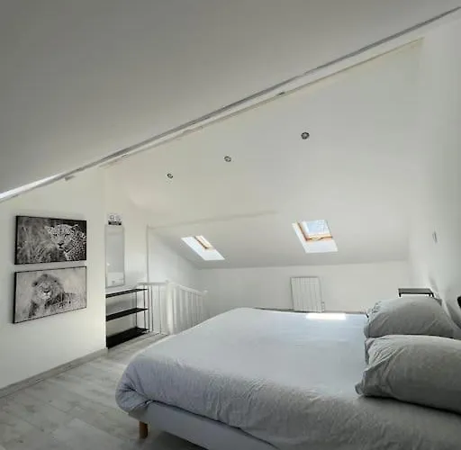 L'amienoise Proche Zenith Stade Cathedrale *